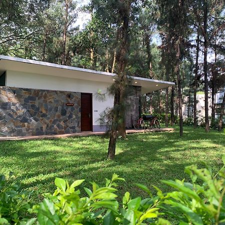Hilltop Dai Lai H230 Villa Hanoi Exteriör bild