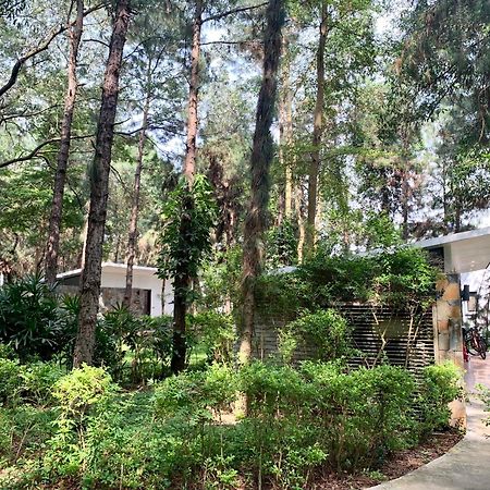 Hilltop Dai Lai H230 Villa Hanoi Exteriör bild